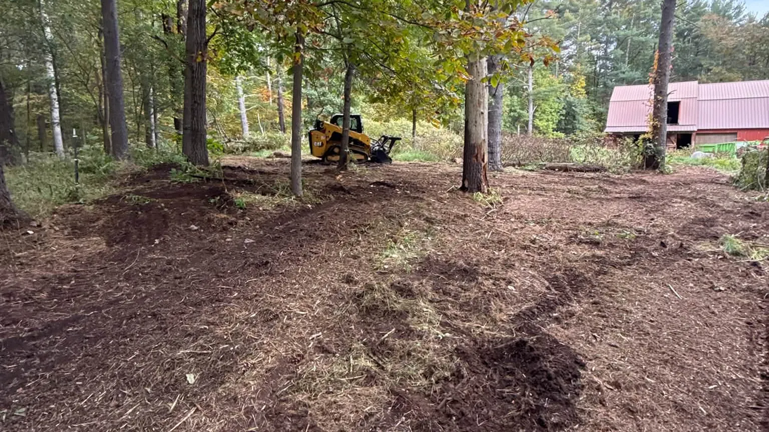 Track loader with a mulching head working under tall trees near red barns