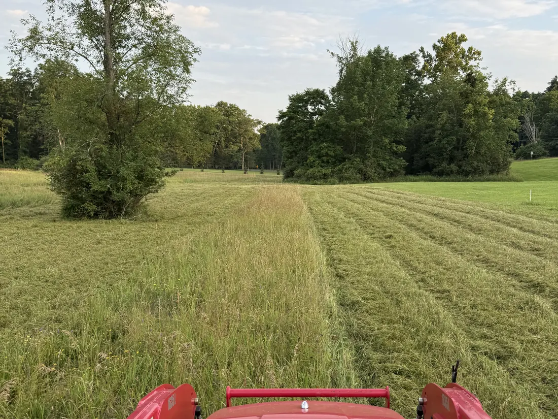 Brush hogging a tall grass field from the tractor seat, fresh cut rows behind