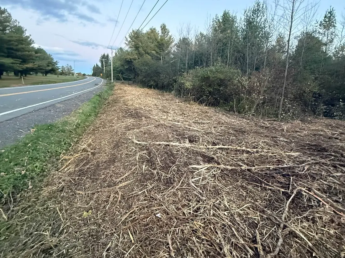 Roadside strip of brush and saplings cut to the ground beside a highway, brush hogging