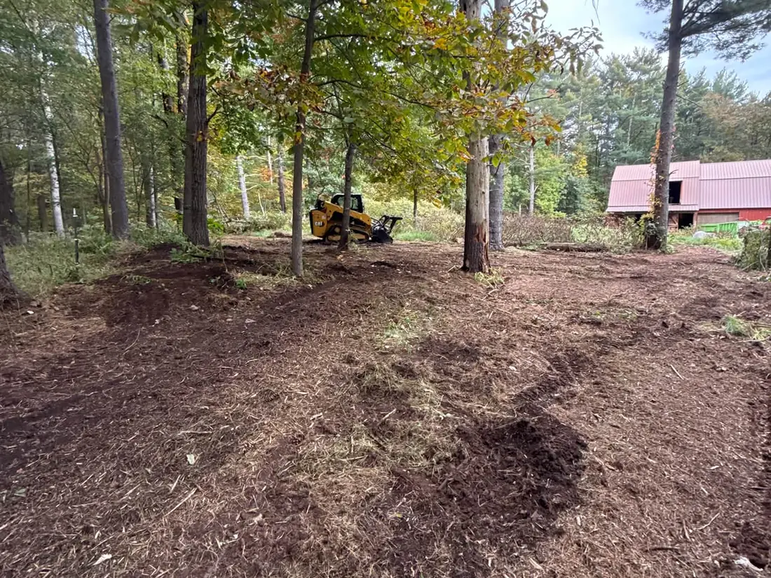 Track loader mulching brush under tall trees near red barns, forestry mulching