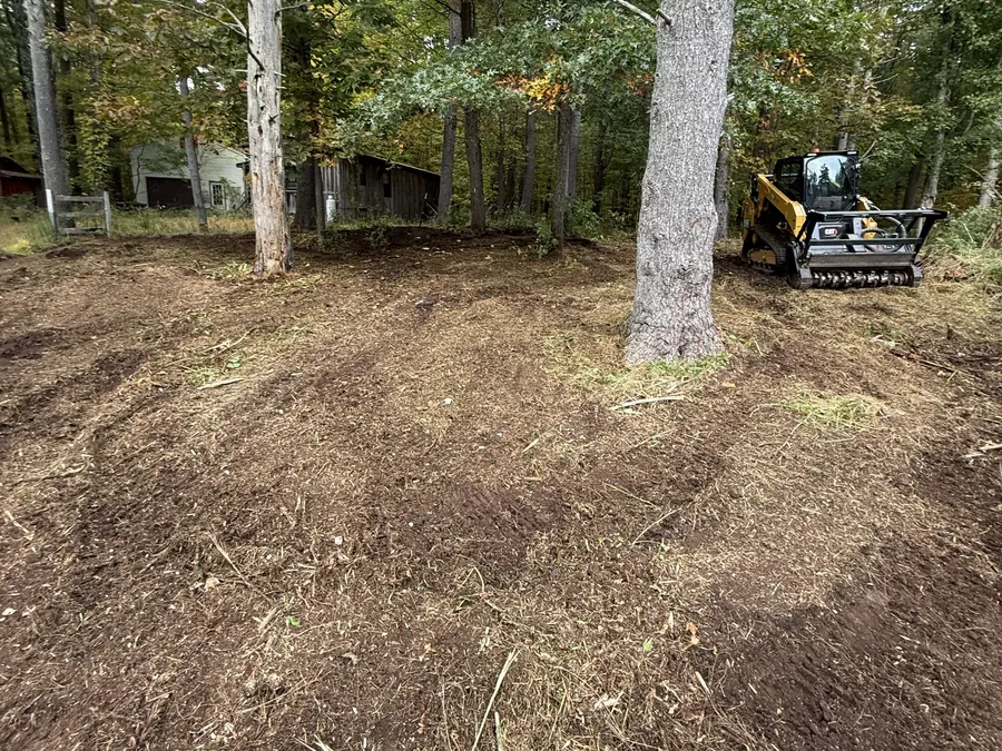 Compact track loader with a mulching head on a wooded lot left with a mulch layer, forestry mulching