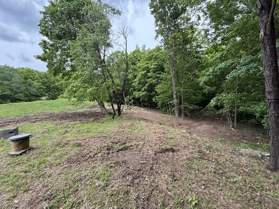 Land clearing along a wooded edge, brush cut back to open ground beside a grass field