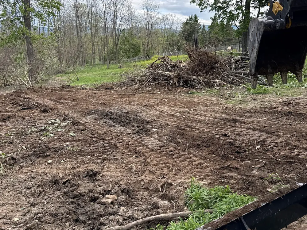 Land clearing with an excavator, brush piled on freshly cleared ground at a field edge