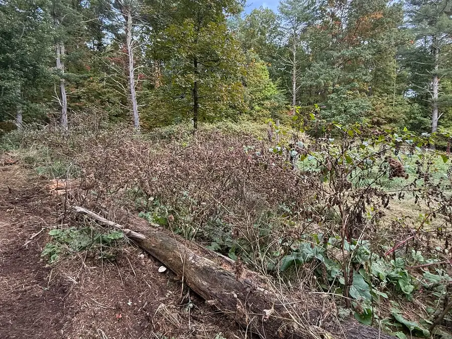 Fallen tree trunk lying in brush at the edge of a field, storm cleanup for property maintenance