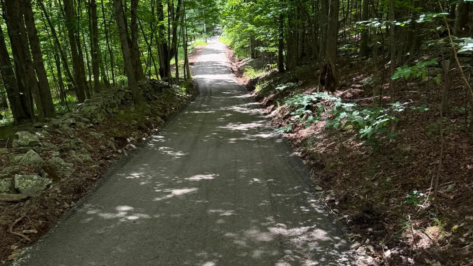 Finished gravel driveway running through green woods