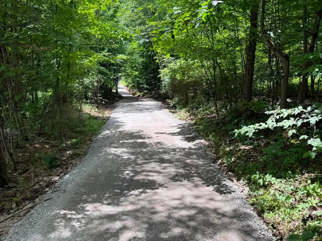 Fresh gravel lane through summer woods, the kind of drive cleared in snow plowing
