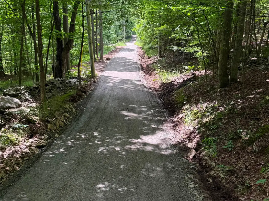 Long private gravel road through the woods, the kind of drive cleared in snow plowing season