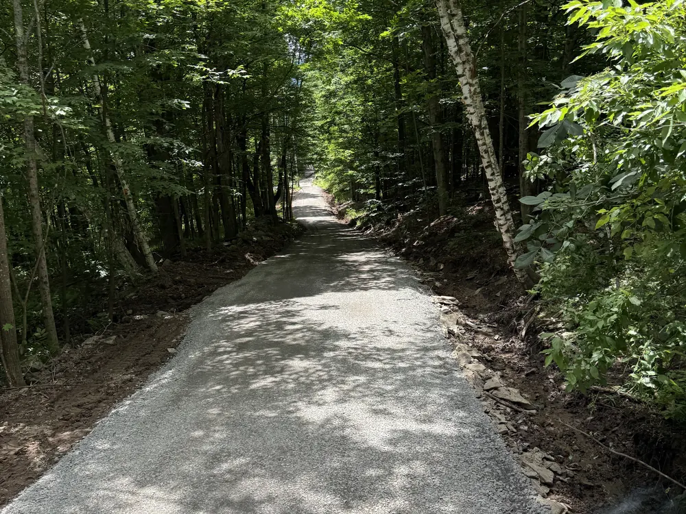 Gravel driveway climbing through birch and maple woods, a drive kept open by snow plowing