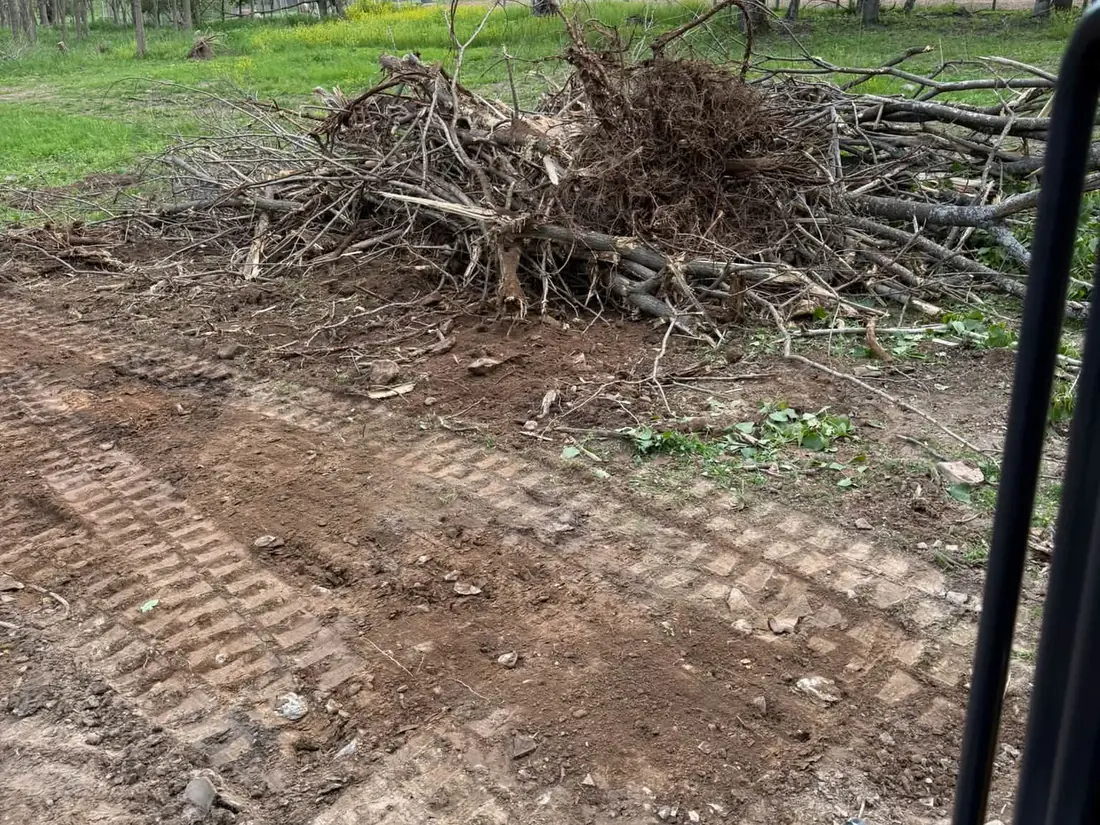 Uprooted brush and small trees piled in a field after removal, tree and stump removal
