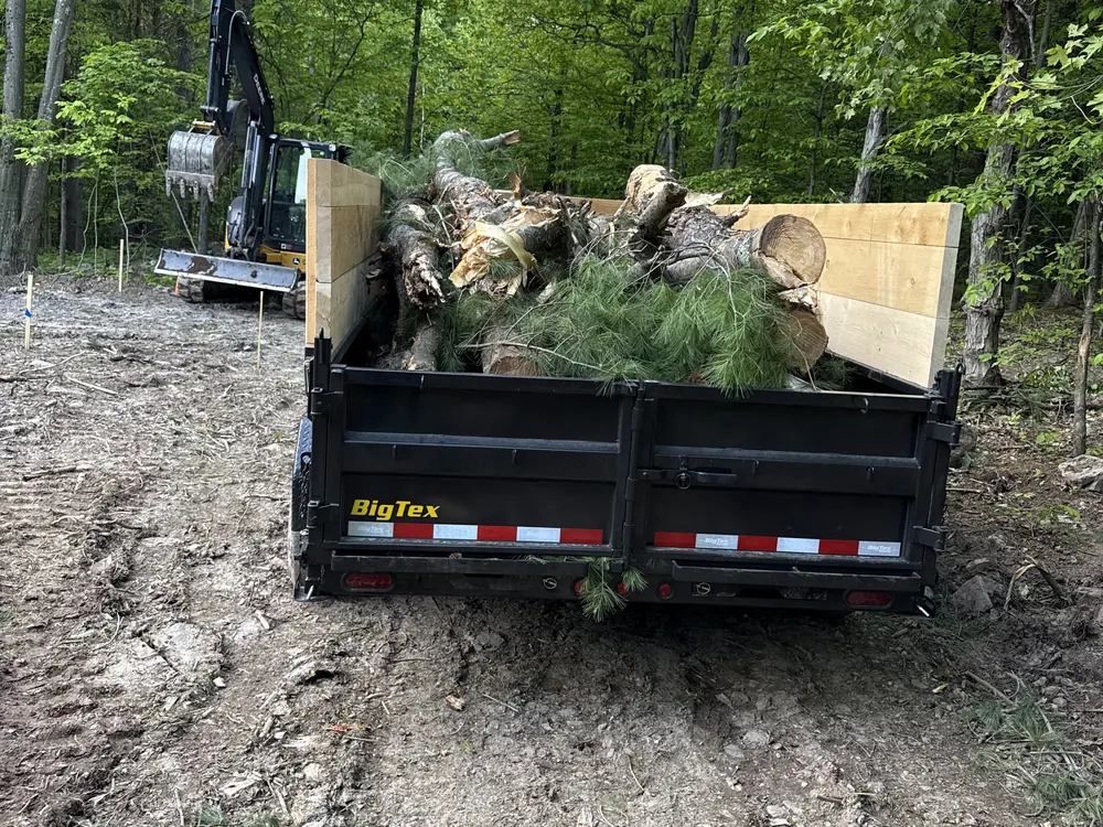 Dump trailer loaded with cut pine logs and limbs, an excavator behind, tree removal